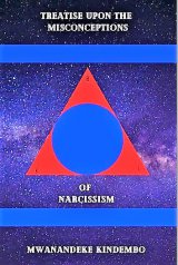 Treatise Upon The Misconceptions of Narcissism book cover