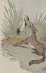 The Wolf and the Crane book cover