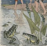 The Boys and the Frogs book cover