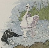 A Raven and a Swan book cover