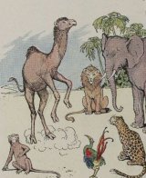 The Monkey and the Camel book cover