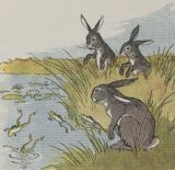 The Hares and the Frogs book cover