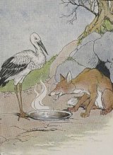 The Fox and the Stork book cover