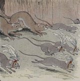 The Mice and the Weasels book cover