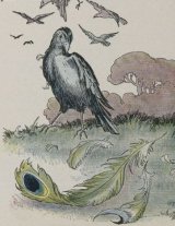 The Vain Jackdaw and His Borrowed Feathers book cover