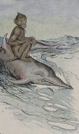 The Monkey and the Dolphin book cover