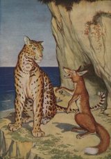 The Fox and the Leopard book cover