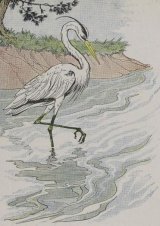 The Heron book cover