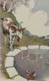 The Fox and the Goat book cover