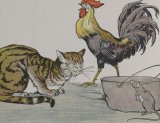The Cat, the Cock, and the Young Mouse book cover