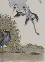 The Peacock and the Crane book cover