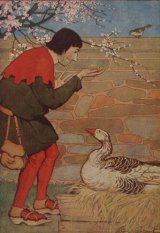 The Goose and the Golden Egg book cover