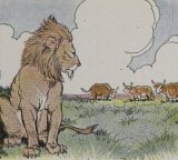 Three Bullocks and a Lion book cover