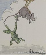 The Frog and the Mouse book cover