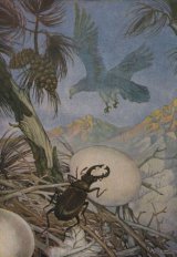 The Eagle and the Beetle book cover
