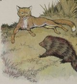 The Fox and the Hedgehog book cover