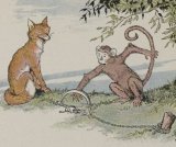 The Fox and the Monkey book cover