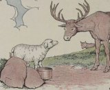 The Stag, the Sheep, and the Wolf book cover
