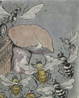 The Bees and Wasps, and the Hornet book cover