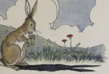The Hare and His Ears book cover